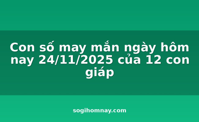 Con số may mắn ngày hôm nay 24/11/2025 của 12 con giáp