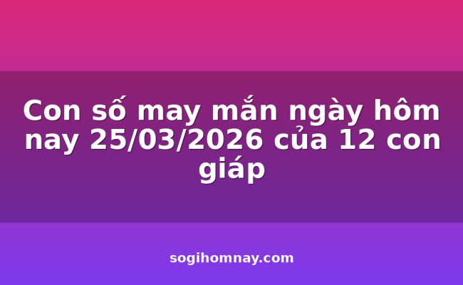 Con số may mắn ngày hôm nay 25/03/2026 của 12 con giáp