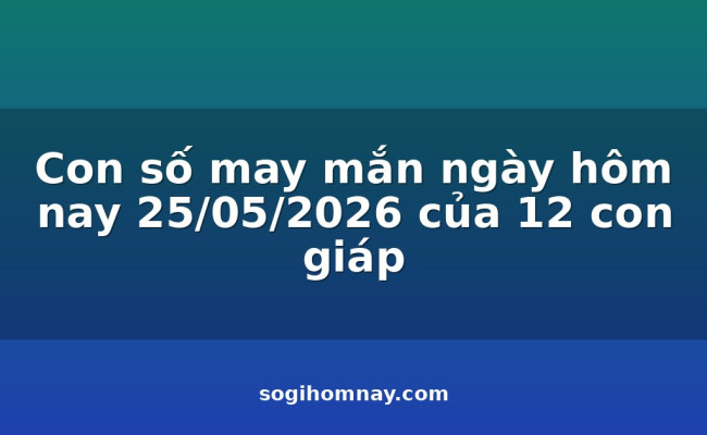 Con số may mắn ngày hôm nay 25/05/2026 của 12 con giáp