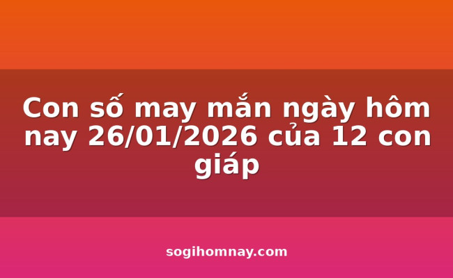 Con số may mắn ngày hôm nay 26/01/2026 của 12 con giáp