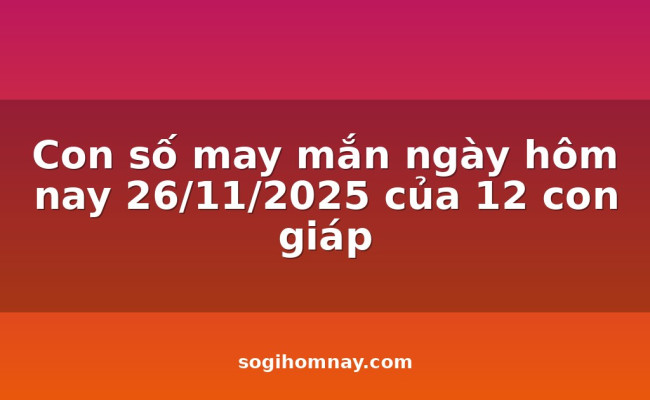 Con số may mắn ngày hôm nay 26/11/2025 của 12 con giáp