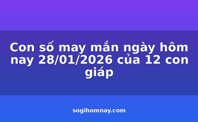 Con số may mắn ngày hôm nay 28/01/2026 của 12 con giáp