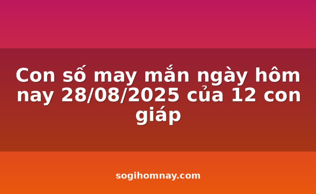 Con số may mắn ngày hôm nay 28/08/2025 của 12 con giáp