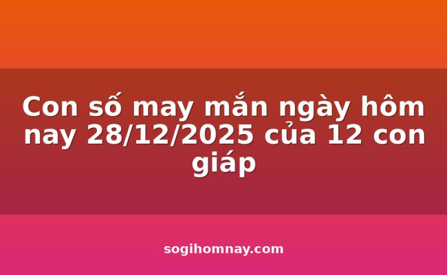 Con số may mắn ngày hôm nay 28/12/2025 của 12 con giáp