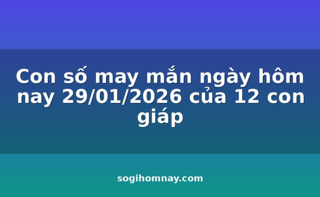 Con số may mắn ngày hôm nay 29/01/2026 của 12 con giáp