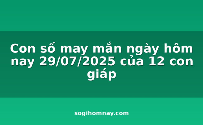 Con số may mắn ngày hôm nay 29/07/2025 của 12 con giáp