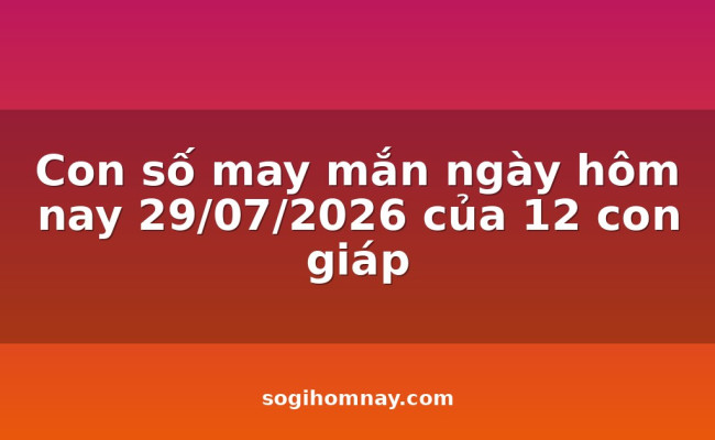 Con số may mắn ngày hôm nay 29/07/2026 của 12 con giáp