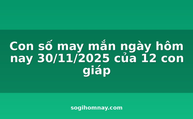 Con số may mắn ngày hôm nay 30/11/2025 của 12 con giáp