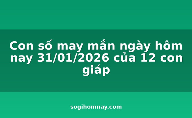 Con số may mắn ngày hôm nay 31/01/2026 của 12 con giáp