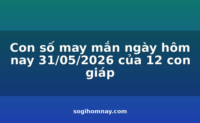 Con số may mắn ngày hôm nay 31/05/2026 của 12 con giáp