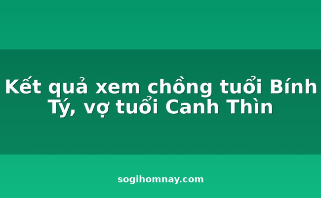 Kết quả xem chồng tuổi 
                            Bính Tý, vợ tuổi 
                            Canh Thìn