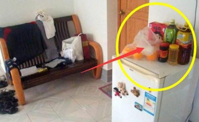 Không nên bỏ thứ này trên tủ lạnh kẻo thất thoát tiền bạc