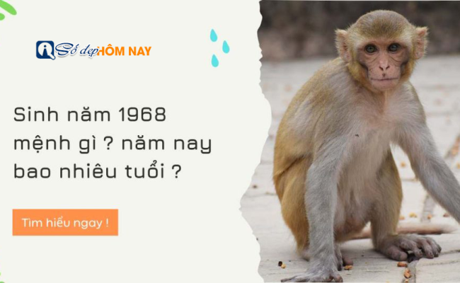 Sinh năm 1968 mệnh gì, tuổi con gì, hợp màu gì?