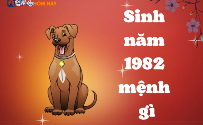 Tuổi Tuất 1982 mệnh gì? Tuổi con gì? Hợp màu gì, hướng nào?