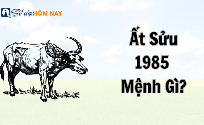 Người sinh năm 1985 mệnh gì? Tính cách nam nữ Ất Sửu ra sao?