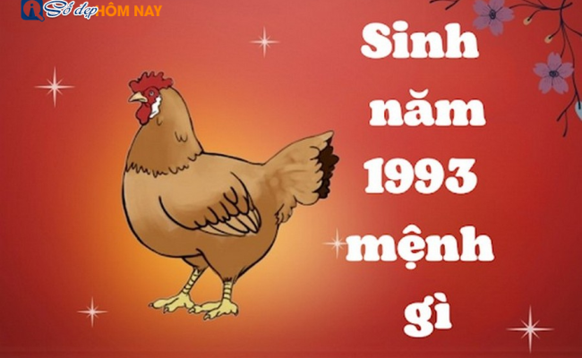 Sinh năm 1993 là mệnh gì? Vận mệnh người tuổi Quý Dậu