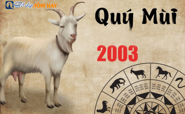 Sinh năm 2003 mệnh gì, tuổi con gì – Soi chiếu công danh, sự nghiệp