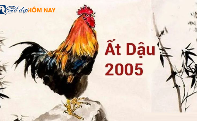 Sinh năm 2005 mệnh gì, tuổi con gì? – Tử vi bản mệnh 2005