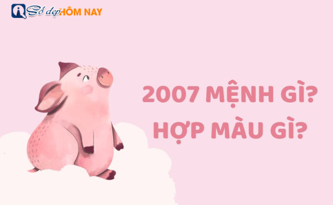 Sinh năm 2007 mệnh gì? Tuổi con gì, hợp màu gì? – Tử vi 2007