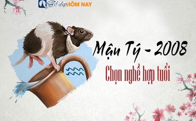 Sinh năm 2008 mệnh gì? Tuổi con gì? Khái quát tử vi năm 2008