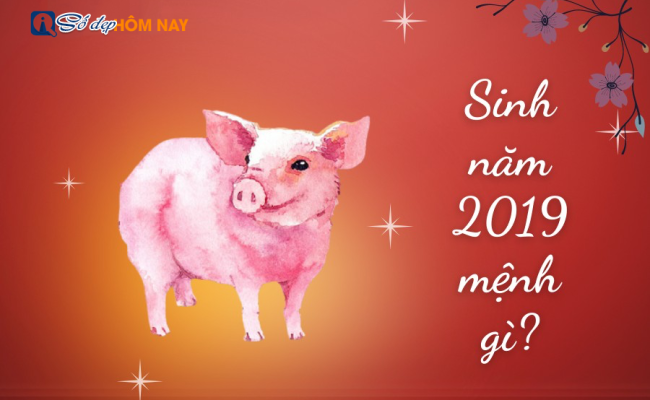 Sinh năm 2019 mệnh gì, tuổi con gì – Tổng quan tử vi năm sinh 2019