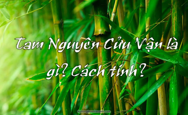 Tam Nguyên Cửu Vận và tính đúng đắn của nó khi luận giải về tình hình thế giới