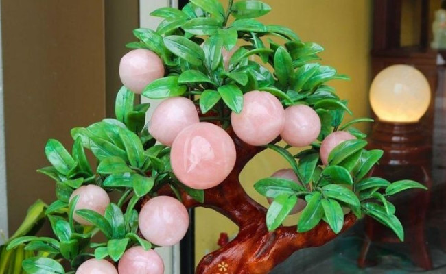 Trái đào trong phong thủy: Có tác dụng bất ngờ từ sức khỏe tới tiền bạc