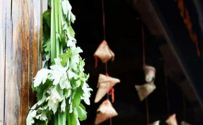 Treo ngải cứu này trước cửa nhà dịp Tết Đoan Ngọ, cả năm gặp may mắn liên tục!