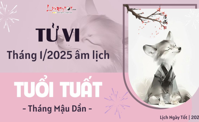 Tử vi tháng 1/2025 tuổi Tuất âm lịch: Nên linh hoạt tránh vướng thị phi không đáng có