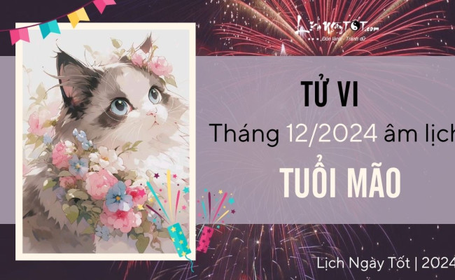 Tử vi tháng 12/2024 tuổi Mão âm lịch: Chưa có đột phá, nhiều nỗi muộn phiền mới