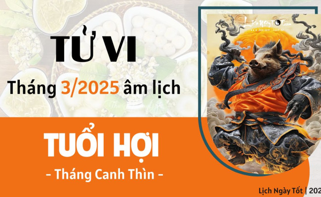 Tử vi tháng 3/2025 tuổi Hợi âm lịch: Áp lực và trở lực ngày càng nhiều