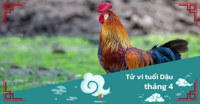 Tử vi tháng 4/2025 tuổi Dậu âm lịch: Gặt hái thành quả đáng kể nhờ sự linh hoạt, khéo léo