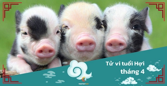 Tử vi tháng 4/2025 tuổi Hợi âm lịch: Nhiều khó khăn, càng hung hăng càng bất lợi