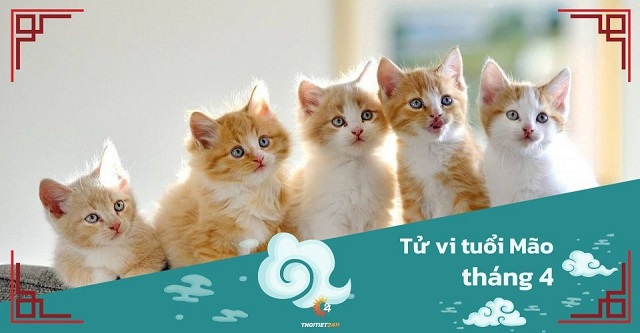 Tử vi tháng 4/2025 tuổi Mão âm lịch: Vượt qua khó khăn, vươn lên giành lấy thắng lợi