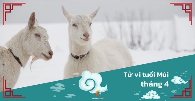 Tử vi tháng 4/2025 tuổi Mùi âm lịch: Ôn hòa, không thích tranh đấu nên khó có thành tựu lớn