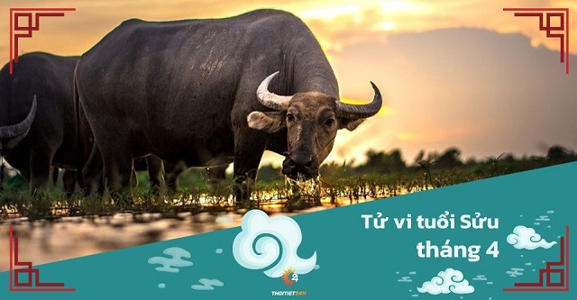 Tử vi tháng 4/2025 tuổi Sửu âm lịch: Nỗ lực trong âm thầm cuối cùng cũng được hái quả ngọt