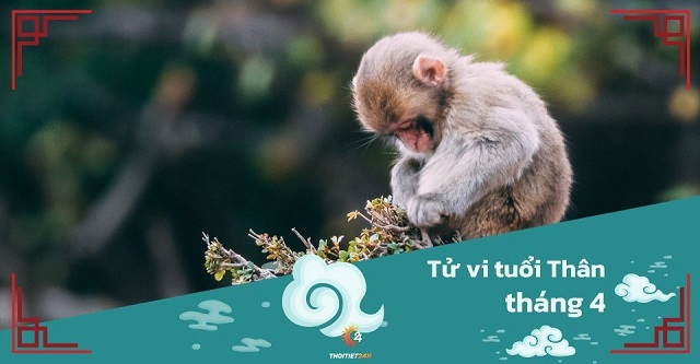 Tử vi tháng 4/2025 tuổi Thân âm lịch: Quyết liệt thể hiện vai trò lãnh đạo, dẫn dắt mọi người