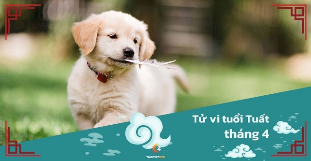 Tử vi tháng 4/2025 tuổi Tuất âm lịch: Tài lộc hanh thông bù đắp cho những nỗ lực không ngừng nghỉ