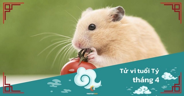 Tử vi tháng 4/2025 tuổi Tý âm lịch: Nhiều phúc khí nên cuộc sống an lành