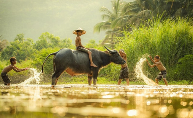 Tử vi tháng 6/2025 tuổi Sửu âm lịch: Một tháng đầy biến động, xung đột và áp lực