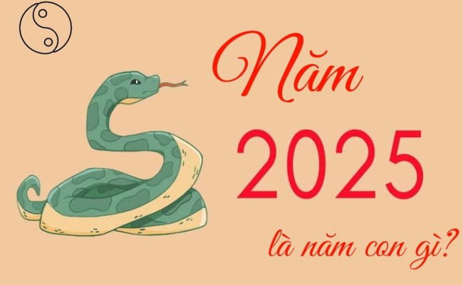 Ý nghĩa phong thủy của năm Ất Tỵ 2025: Mộc – Hỏa cộng sinh, năm Rắn ắt THỊNH