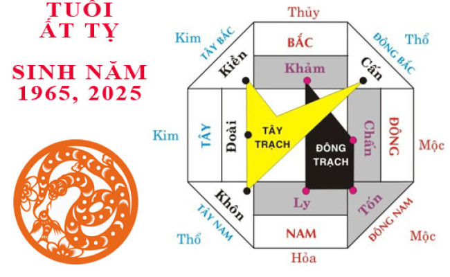 Sinh năm 1965 Ất Tỵ hợp hướng nào?