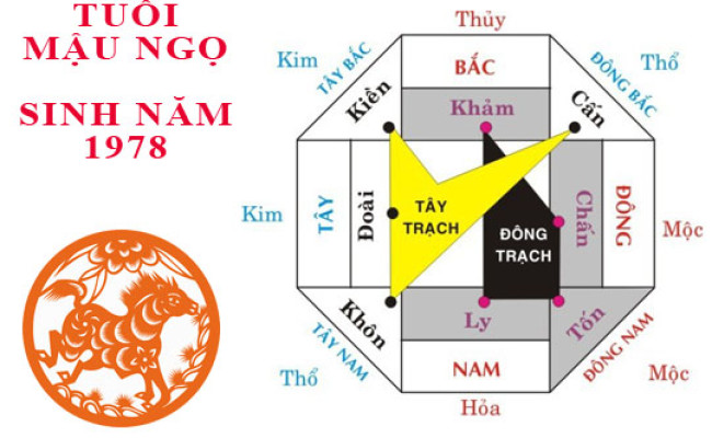 Sinh năm 1978 Mậu Ngọ hợp hướng nào?
