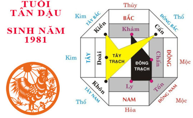 Sinh năm 1981 Tân Dậu hợp hướng nào?