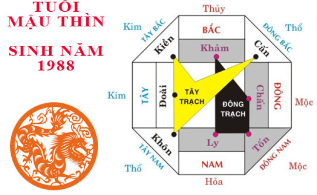 Sinh năm 1988 Mậu Thìn hợp hướng nào?