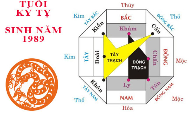 Sinh năm 1989 Kỷ Tỵ hợp hướng nào?