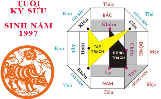 Sinh năm 2009 Kỷ Sửu hợp hướng nào?