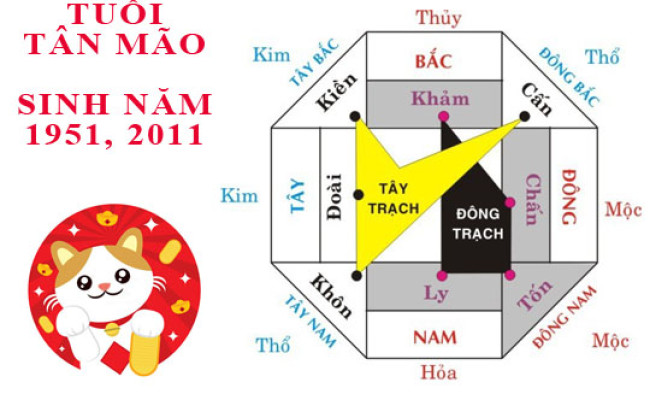 Sinh năm 2011 Tân Mão hợp hướng nào?