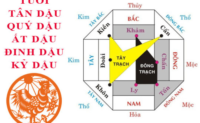 Tuổi Dậu hợp hướng nào?
