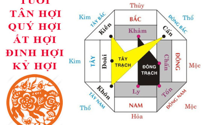 Tuổi Hợi hợp hướng nào?